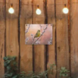 Groenling - Katjes - Lente - Natuur - Zacht tuinposter los doek klein -sfeer1