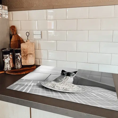 Kat - Siamees - Zwart Wit - Schattig - Dieren Inductie beschermer vinyl 3mm klein -sfeer3