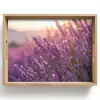 Lavendel - Paars - Zonlicht Dienblad Rechthoek middel -z3d_shopping
