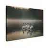 Zwanen - Wit - Water - Mist canvas 2cm klein -z3d