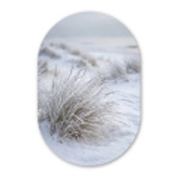 Duinen - Sneeuw - Strand - Winter - Serene Wandcirkel Ovaal Forex klein -3d
