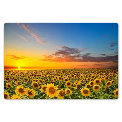 Bloemen - Zonnebloem - Zonsondergang - Nacht - Oranje Placemat vinyl groot -zzsfeer1_Kitchenyeah-website