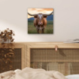 Longhorn - Landschap - Zonsondergang aluminium wit klein -sfeer3