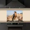 Valk - Vogel - Rots - Macht keuken achterwand spatscherm klein -sfeer1