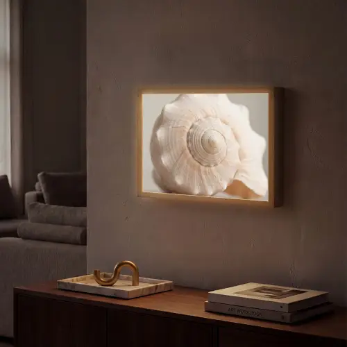 Schelp - Detail - Beige Light Box met batterij (Wandlamp) middel -sfeer1