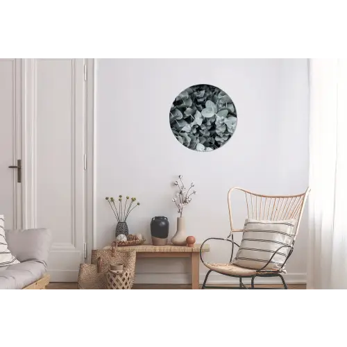Natuur - Planten - Eucalyptus - Bladeren Wandcirkel aluminium klein -woonkamer