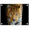 Intens portret van een luipaard tuinposter los doek klein -3d