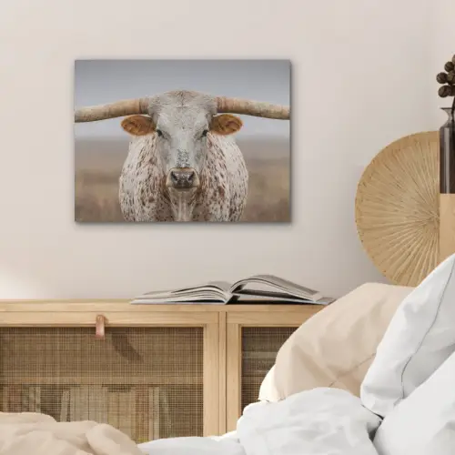 Longhorn - Grasveld - Dier PET vilt klein -sfeer3
