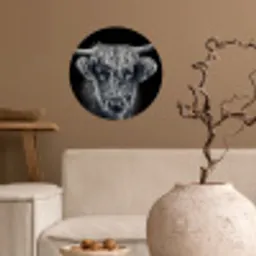 Schotse hooglander - Zwart - Koe - Dieren Wandcirkel behangsticker klein -sfeer1