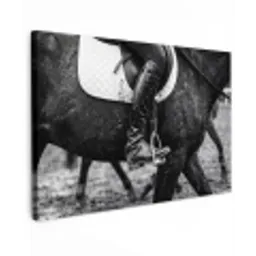 Paard - Sport - Zwart - Wit Tuinposter op houten frame 2 cm dik klein -3d