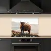 Schotse hooglander - Dieren - Landelijk - Landschap - Koe - Natuur keuken achterwand spatscherm klein -sfeer1