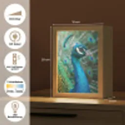 Pauw - Veren - Blauw Light Box met kabel (Kinderlampje) klein -USP_DE