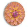 Dahlia - Bloem - Oranje Akoestische PET Vilt - Rond klein -3d