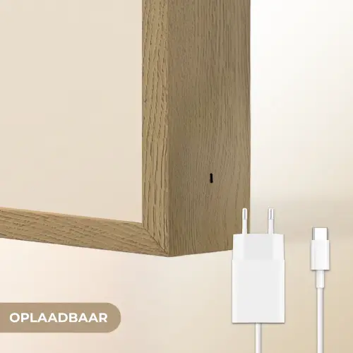 Plant - Beige - Japandi Light Box met batterij (Wandlamp) middel -USP_websiteoplaadbaarNL