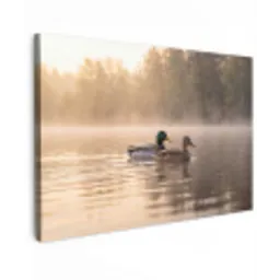 Eenden - Water - Mist - Natuur canvas 2cm klein -z3d