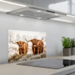 Schotse hooglander - Koe - Natuur - Winter keuken achterwand spatscherm klein -3d_schuin