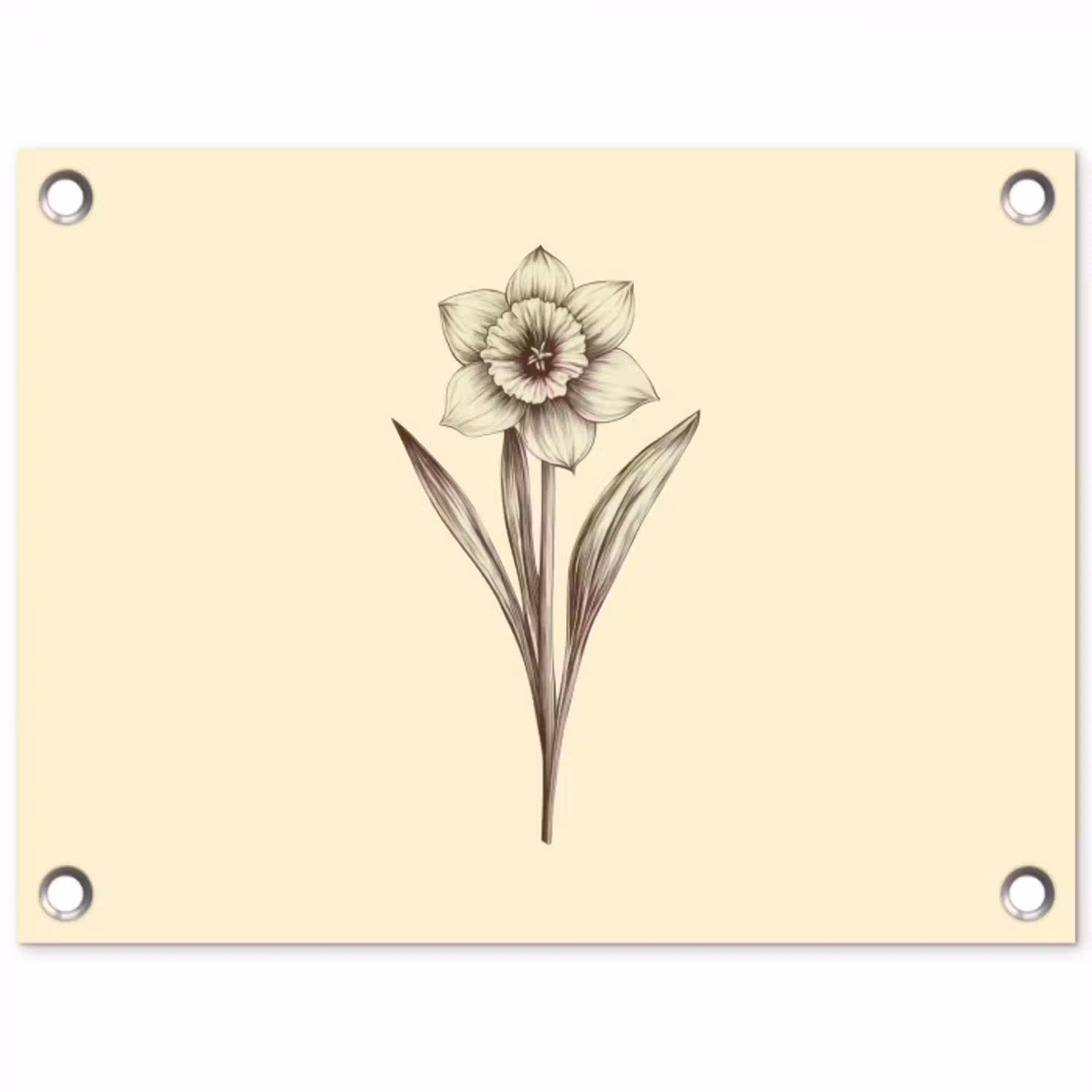 Zwart - Narcis - Illustratie tuinposter los doek klein -3d