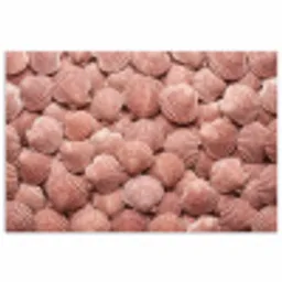 Schelpen - Patroon - Roze poster papier klein -3d