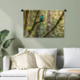 Quetzal - Jungle - Natuur - Groen Wandkleed katoen klein -sfeer7
