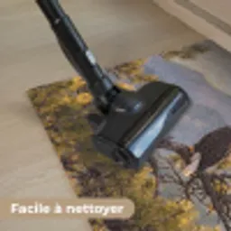 Zeearend - Boom - Bergen - Groen Deurmat klein -reinigen_FR