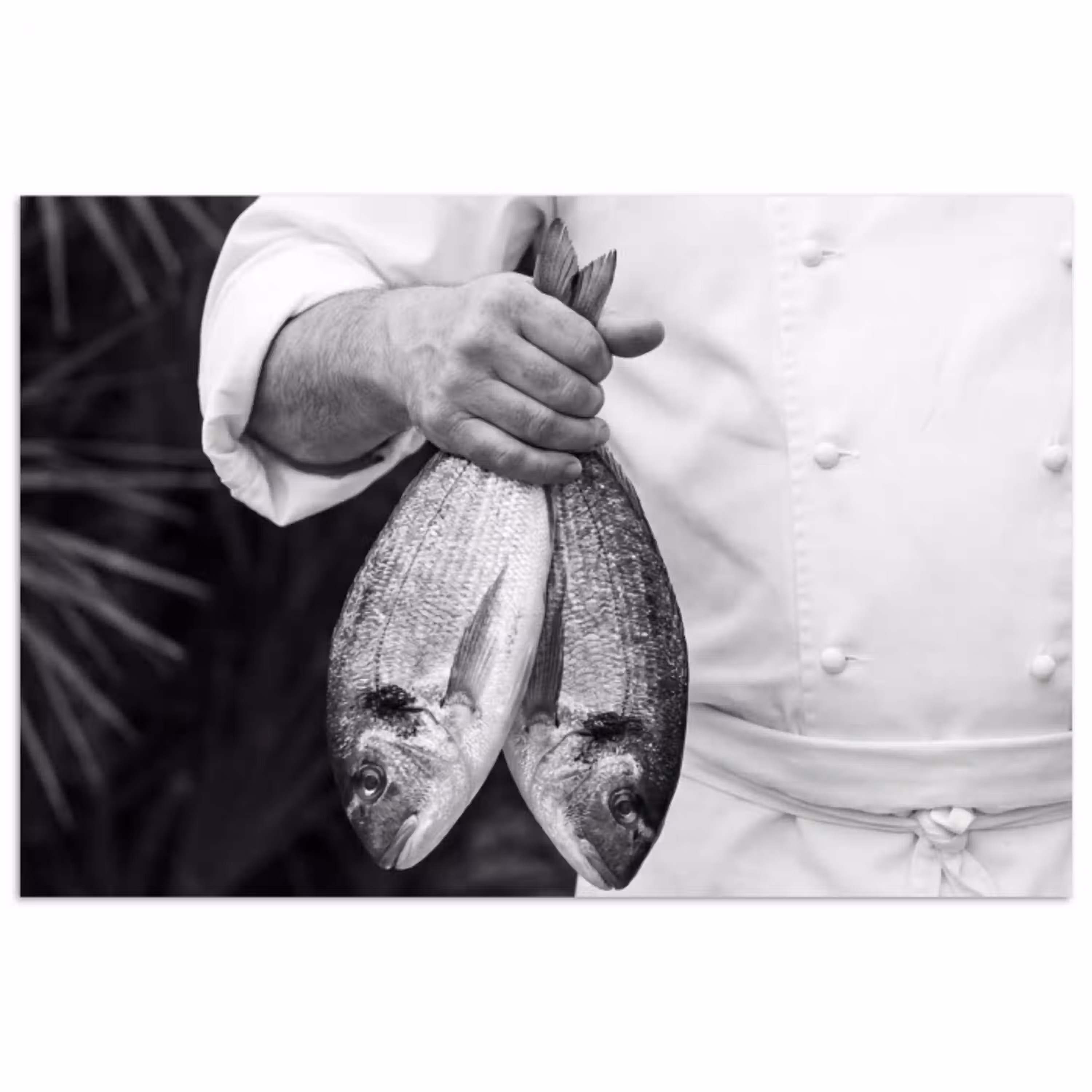 Vissen - Chef - Zwart - Wit poster papier klein -3d