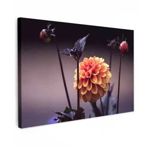 Bloemen - Chrysant - Macro - Planten Tuinposter op houten frame 2 cm dik klein -3d