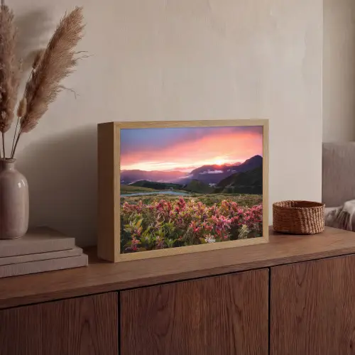 Bloemen - Bergen - Landschap - Nacht - Lucht - Roze Light Box met batterij (Wandlamp) middel -sfeer2