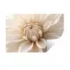 Bloem - Dahlia - Wit Muursticker klein -3d