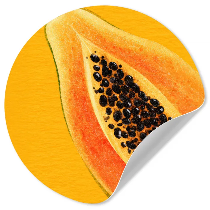 Papaja - Oranje - Topisch Wandcirkel behangsticker klein -3d