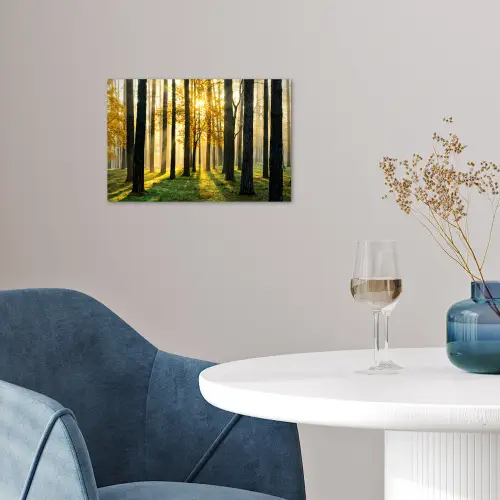 Bos - Zon - Bomen - Gras - Landschap  - Natuur poster papier klein -sfeer3