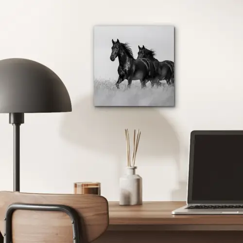Paarden - Gras - Zwart - Wit aluminium wit klein -sfeer5