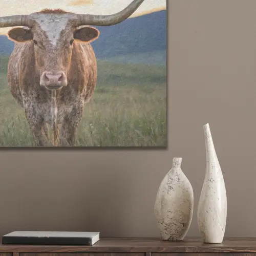 Longhorn - Landschap - Zonsondergang PET vilt klein -sfeer6_closeup