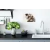 Kokosnoten - Bruin - Shaduw Muursticker klein -keuken