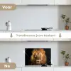 Leeuw - Dieren - Zwart - Licht - Bruin - Portret keuken achterwand spatscherm klein -voor_na_NL