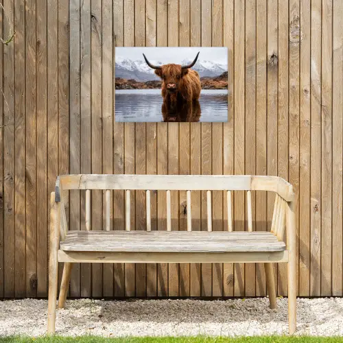 Schotse hooglander - Bruin - Water Tuinposter op houten frame 2 cm dik klein -sfeer4