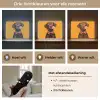 Hond - Oranje - Roos - Valentijn Light Box met batterij (Wandlamp) middel -USP_lichtkleurNL