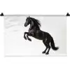 Zwart - Paard - Portret Wandkleed katoen klein -zz3d