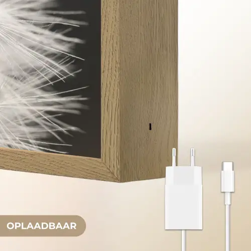 Paardenbloem - Zwart - Wit Light Box met batterij (Wandlamp) middel -USP_websiteoplaadbaarNL