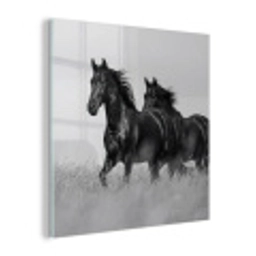 Paarden - Gras - Zwart - Wit plexiglas 5mm klein -z3d