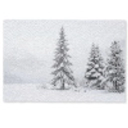 Fijnsparren - Sneeuw - Winter - Landschap - Stilte Deurmat klein -zkaufland3d