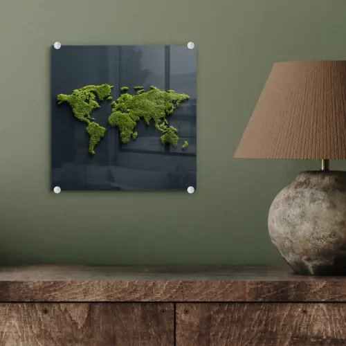 Wereldkaart - Mos -Levendig effect plexiglas 5mm klein -sfeer3