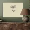 Klaproos - Illustratie - Zwart PET vilt klein -sfeer2