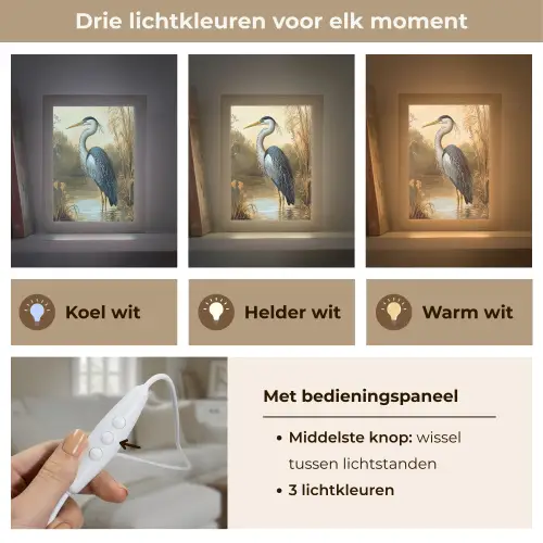 Reiger - Water - Planten Light Box met kabel (Tafellamp) klein -USP_lichtkleurNL