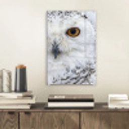 Sneeuwuil - Oog - Wildlife - Wit plexiglas 5mm klein -sfeer1