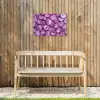Paars - Uien - Close up Tuinposter op houten frame 2 cm dik klein -sfeer4