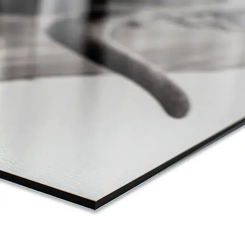 a-spatscherm-closeup-541a.png