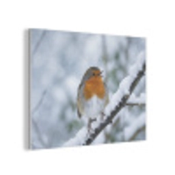 Roodborstje - Tak - Sneeuw - Winter - Levendig PET vilt klein -3d