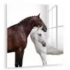 Paard - Modern - Balans plexiglas 5mm klein -zzzproduct_nieuw