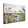 Bloemen - Zomer - Korenbloem - Blauw - Zon - Wolken canvas 2cm klein -z3d