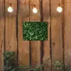 Groen - Bladeren - Kartel - Zonlicht tuinposter los doek klein -sfeer1